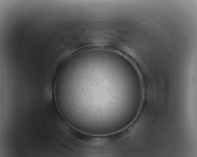 X0000089691451200706281407