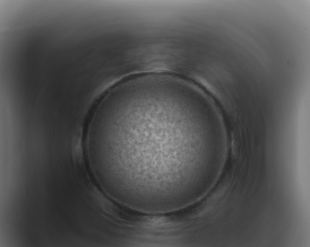 X0000089691452200706281407