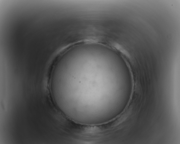 X0000089691454200706281407