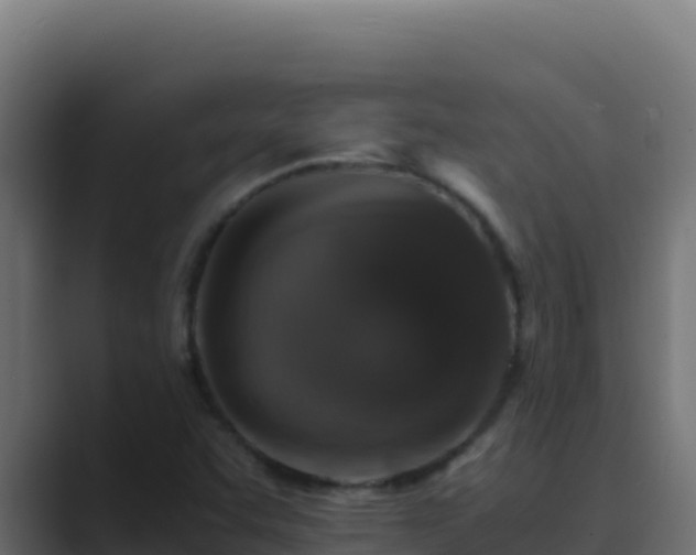 X0000089691455200706281407