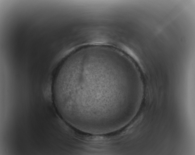 X0000089691456200706281407