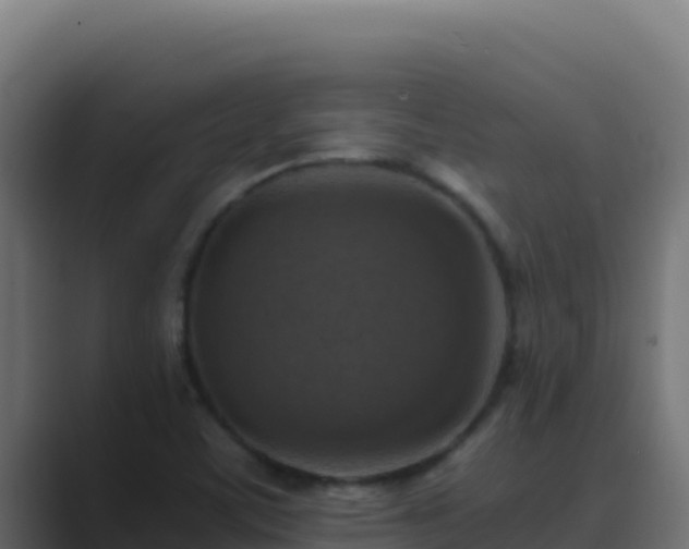 X0000089691459200706281407