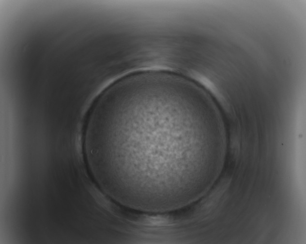 X0000089691460200706281407