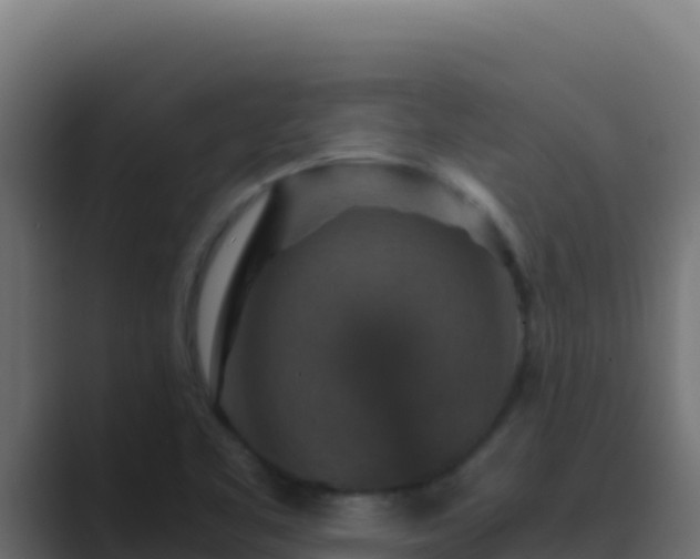 X0000089691461200706281407