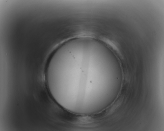 X0000089691462200706281407