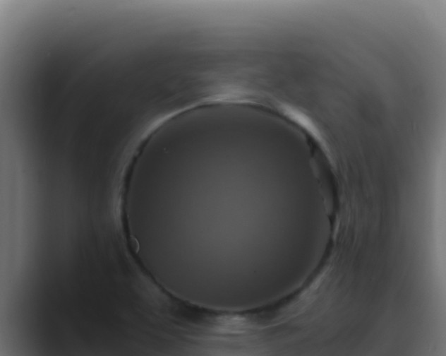 X0000089691463200706281407