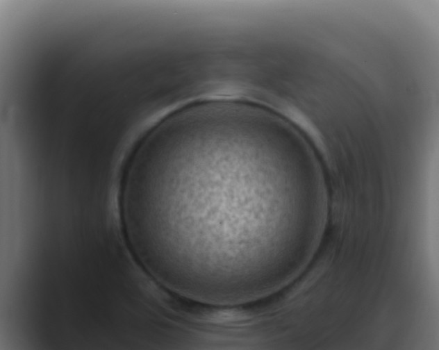 X0000089691464200706281407