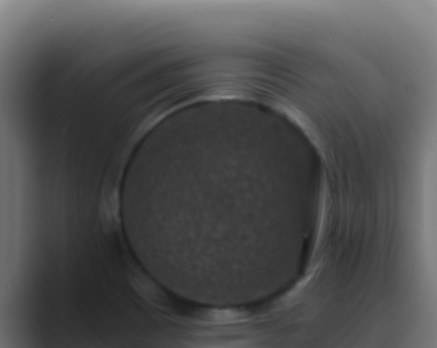 X0000089691465200706281407