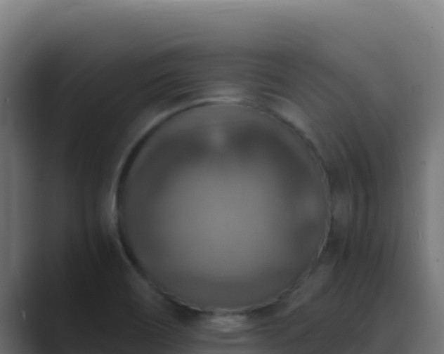 X0000089691466200706281407