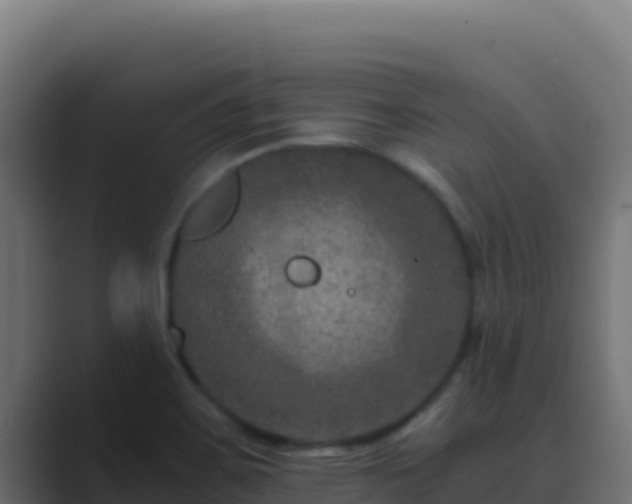 X0000089691467200706281407