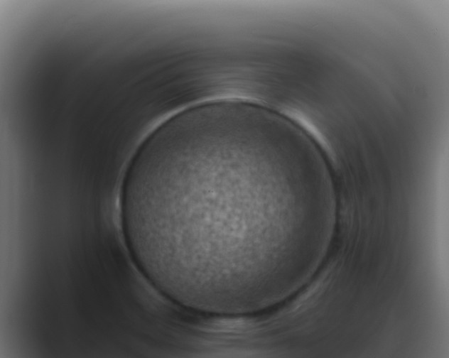 X0000089691468200706281407