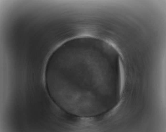 X0000089691469200706281407