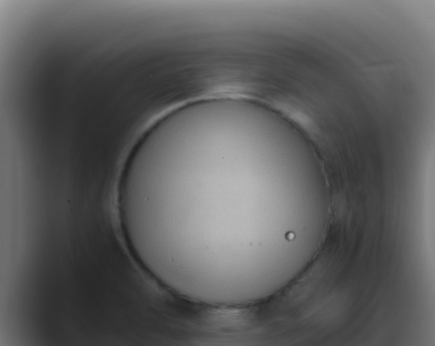 X0000089691470200706281407