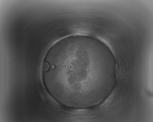 X0000089691471200706281407