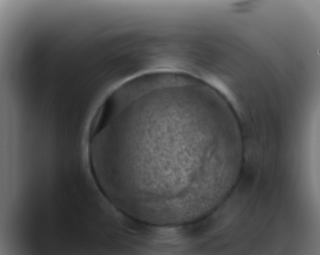 X0000089691472200706281407