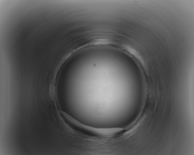 X0000089691473200706281407