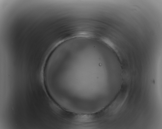 X0000089691474200706281407