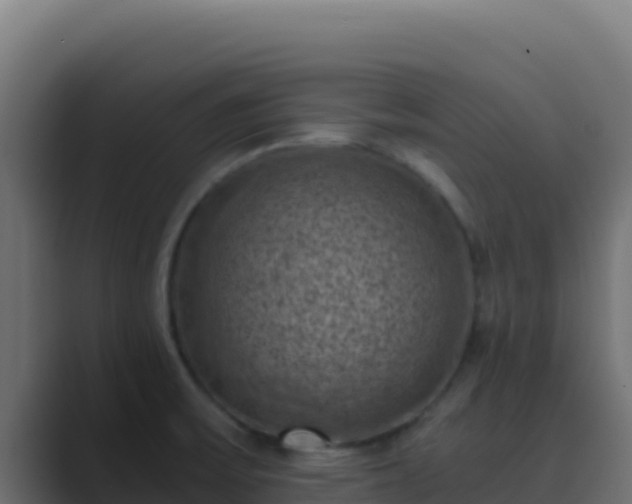 X0000089691475200706281407