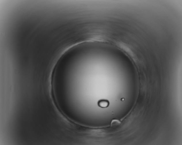 X0000089691479200706281407