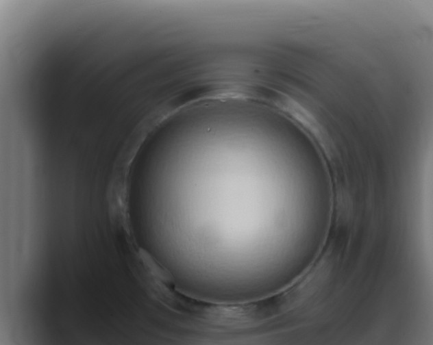 X0000089691481200706281407