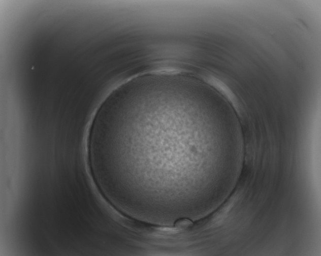 X0000089691483200706281407