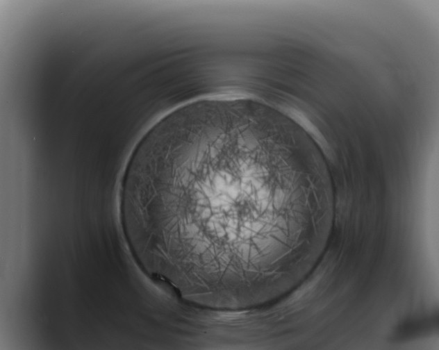 X0000089691484200706281407