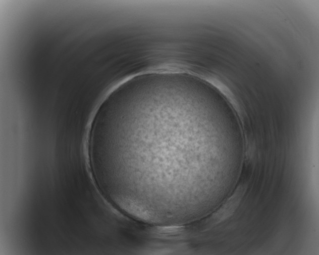 X0000089691486200706281407