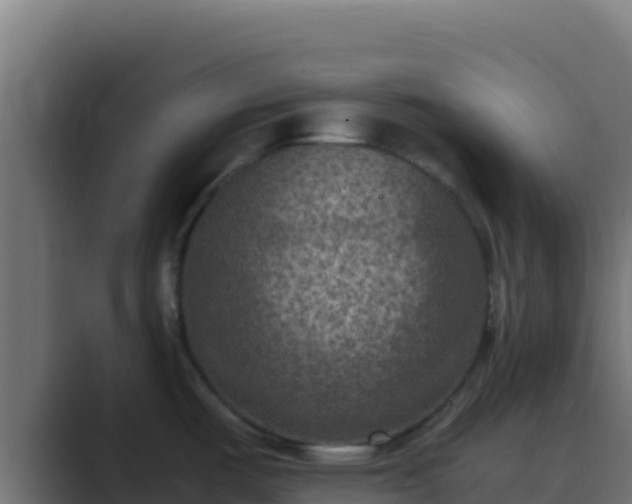 X0000089691487200706281407