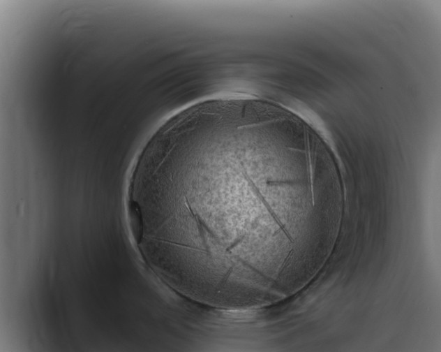 X0000089691488200706281407