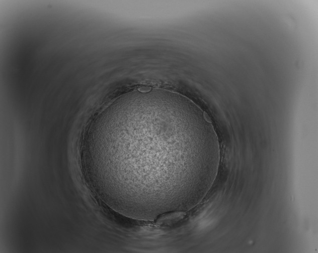 X0000089691489200706281406