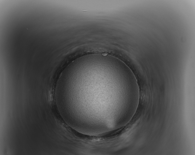 X0000089691490200706281406