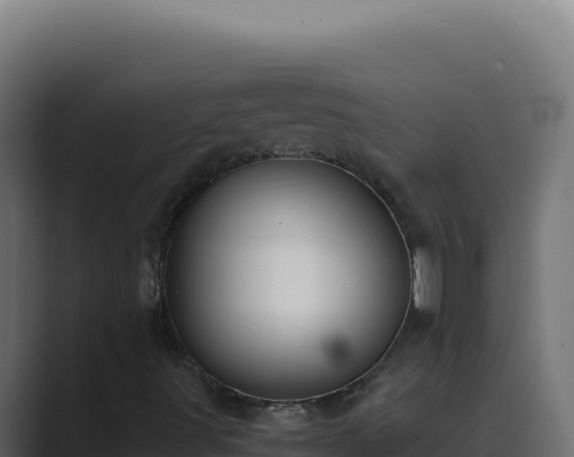 X0000089691491200706281406