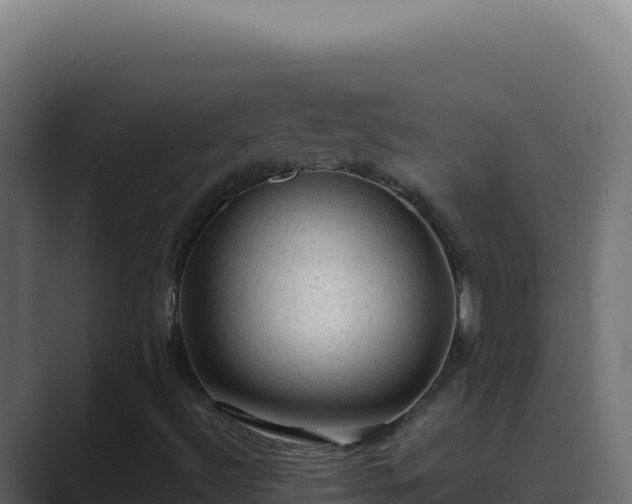 X0000089691492200706281406