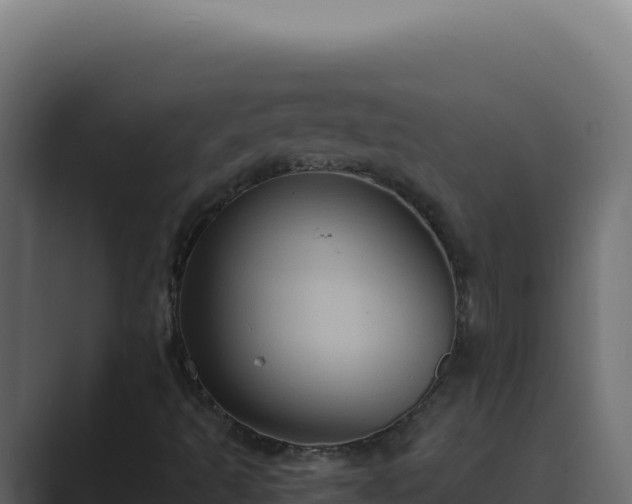 X0000089691493200706281406