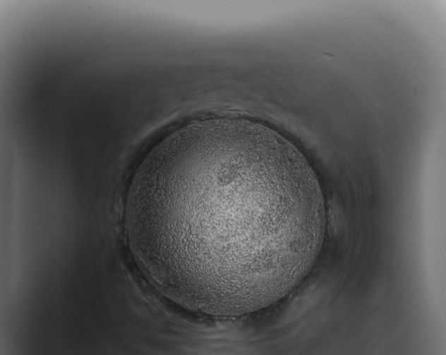 X0000089691494200706281406