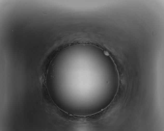 X0000089691495200706281406