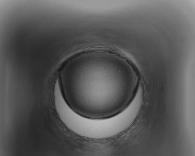 X0000089691496200706281406