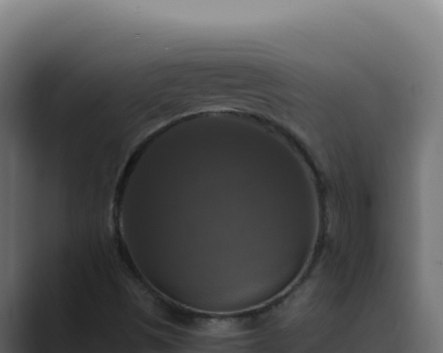 X0000089691497200706281406