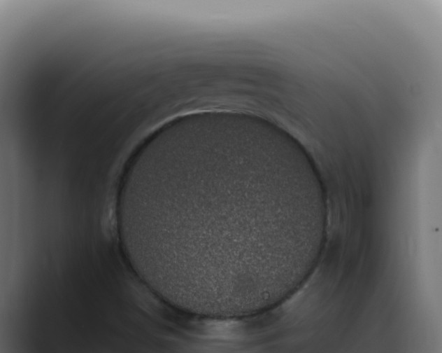 X0000089691498200706281406