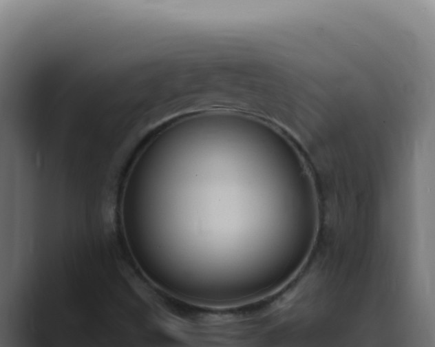 X0000089691499200706281406