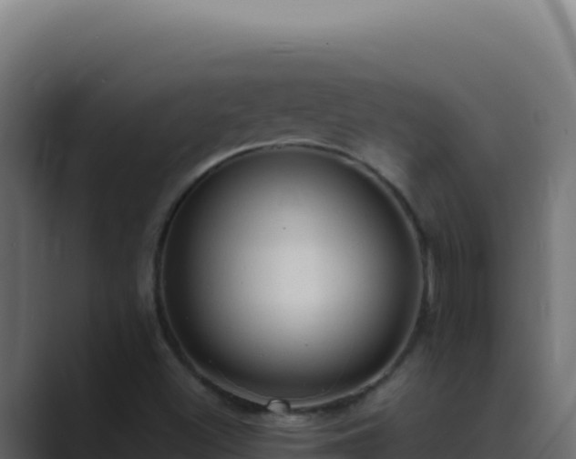 X0000089691500200706281406