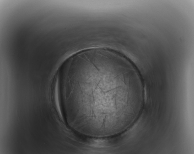 X0000089691501200706281406