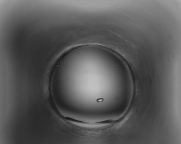 X0000089691502200706281406