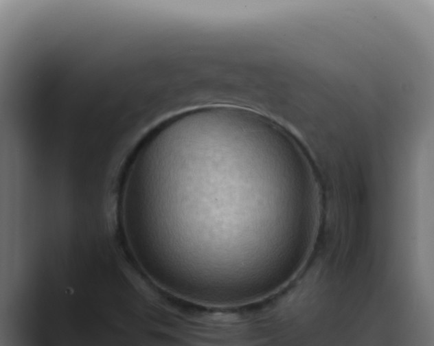 X0000089691503200706281406