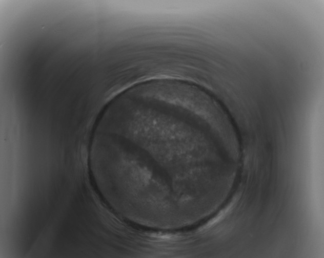 X0000089691505200706281406