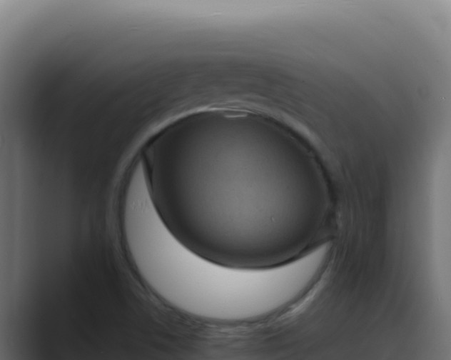 X0000089691506200706281406