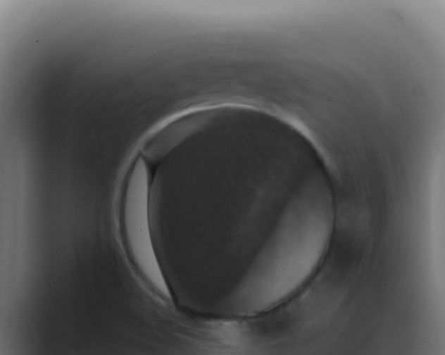 X0000089691508200706281406