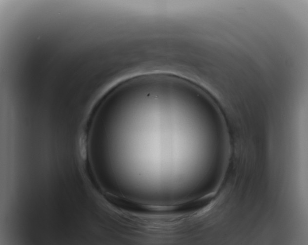 X0000089691510200706281406