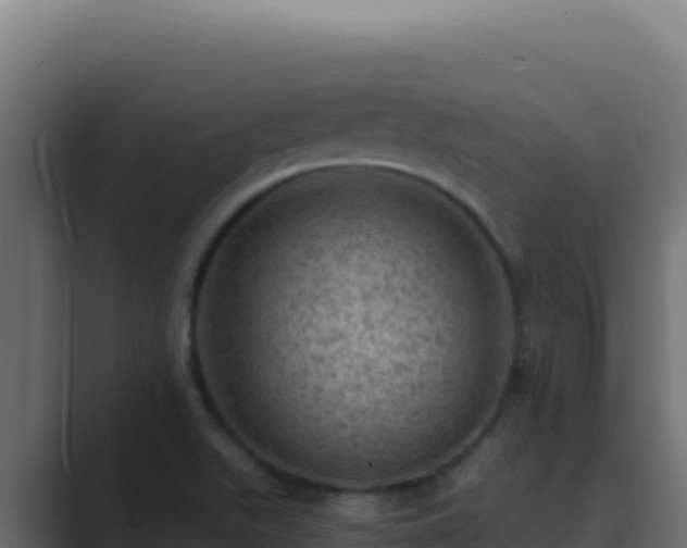 X0000089691511200706281406