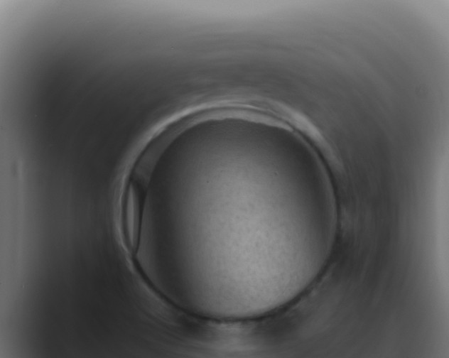 X0000089691512200706281406